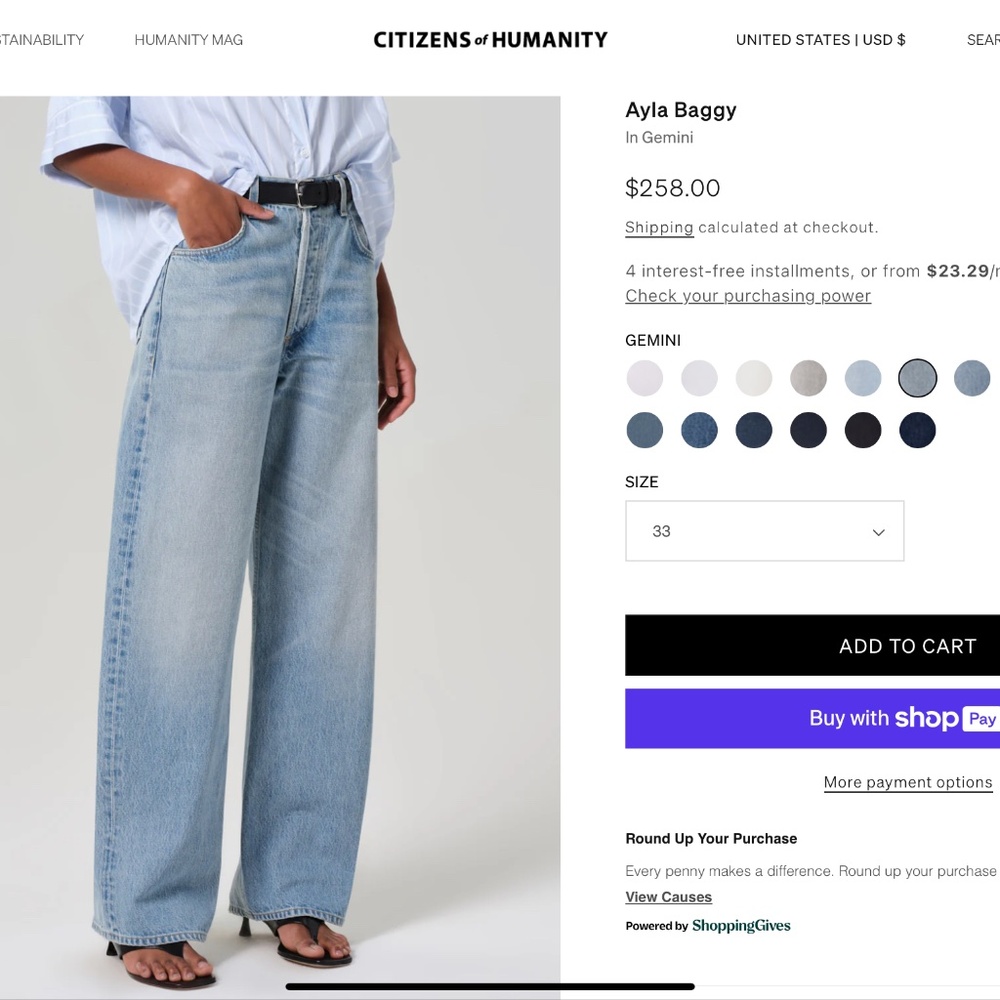 Citizens of Humanity Ayla Baggy Jean in Gemini (Size 33)